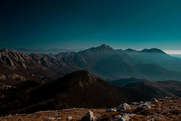 Mastering Spectacular Wildlife Photography in the Enchanting Scottish Highlands: Essential Tips