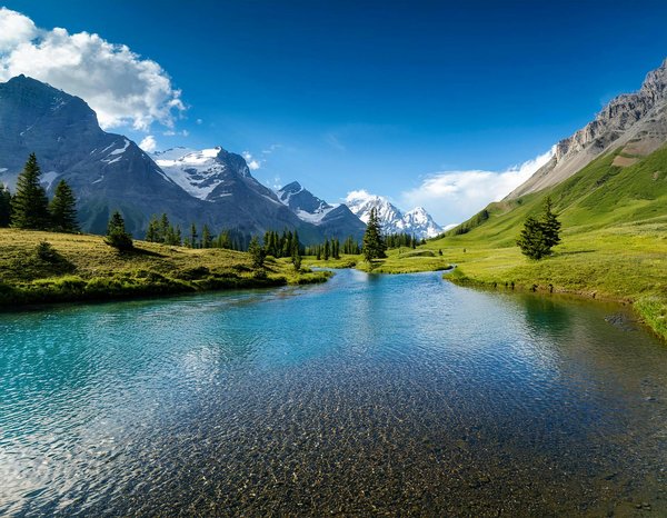 Discover Guided Tours of Chester"s Ancient Roman Ruins: Your Ultimate Exploration Guide